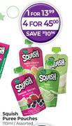 Squish Puree Pouches Assorted-110ml