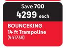 Bounceking 14 Ft Trampoline