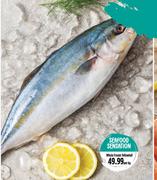 Whole Frozen Yellowtail-Per Kg
