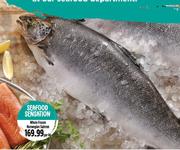 Whole Frozen Norwegian Salmon-Per Kg