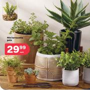 Mini Terracotta Pots-Each
