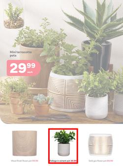 PEP Home Namibia : When Its Giving Winter (23 April - 21 May 2025), page 2