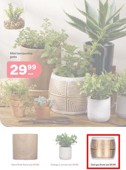 PEP Home Namibia : When Its Giving Winter (23 April - 21 May 2025), page 2
