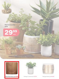 PEP Home Namibia : When Its Giving Winter (23 April - 21 May 2025), page 2