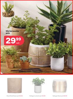 PEP Home Namibia : When Its Giving Winter (23 April - 21 May 2025), page 2