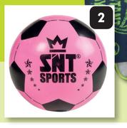 SNT Plastic Ball-Each