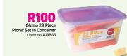 Gizmo 29 Piece Picnic Set In Container