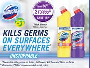 Domestos Thick Bleach Assorted-For 2 x 750ml