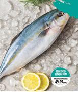 Whole Frozen Yellowtail-Per Kg