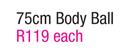 75cm Body Ball