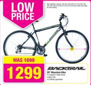 Backtrail 29er Mountain Bike