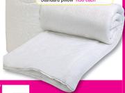 Stitchbond Standard Pillow-Each