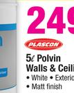 Plascon Polvin Walls & Ceilings - 5L