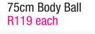 Body Ball-75cm Each