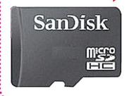 SanDisk 2GB microSDHC,