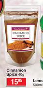 Cinnamon Spice-40g