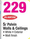 Plascon 5L Polvin Walls & Ceilings