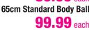 Standard Body Ball-65cm
