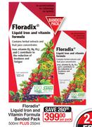 Floradix Liquid Iron And Vitamin Formula Banded Pack-500ml Plus 250ml Per Pack