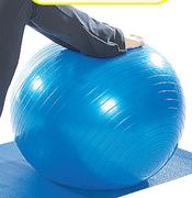 Trojan 65cm Body Ball