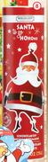 Riegelein Santa To Go HoHoHo Chocolate Piggy Bank-75g