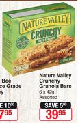 Nature Valley Crunchy Granola Bars-6X42g
