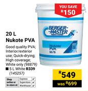 Berger Master 20L Nukote PVA