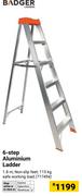Badger 6-Step Aluminium Ladder 717494