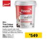 Plascon 20L True Colour Acrylic PVA