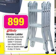 Gravity Wonder Ladder