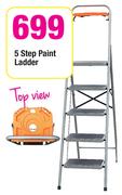 Simple Choice 5 Step Paint Ladder