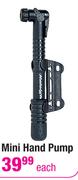 Raleigh Mini Hand Pump Each