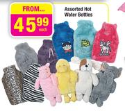 Assorted Hot Water Bottles-Each