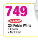 Plascon 20Ltr Polvin White