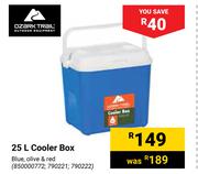 Ozark Trail 25L Cooler Box