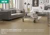 Premia 10mm Acacia Laminated Flooring 2.41 Sqm-Per Sqm