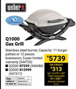 Weber Q3000 Gas Grill