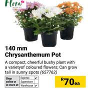 Flora 140mm Chrysanthemum Pot-Each