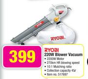 Ryobi 220W Blower Vacuum