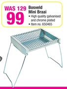 Bosveld Mini Braai