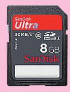 SanDisk 8GB SD Card