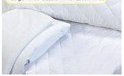 Standard Quilted Pillow Protector