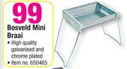 Bosveld Mini Braai