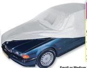 Stingray Car Cover