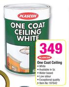 Plascon One Coat Ceiling-Each