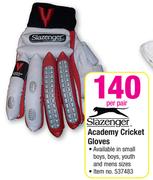 Academy Cricket Gloves-Per Pair