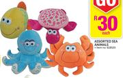 Assorted Sea Animals
