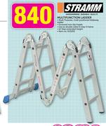 Stramm Multifunction Ladder
