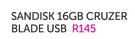 SanDisk 16GB Cruzer Blade USB