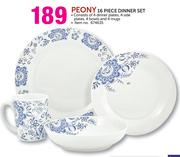 Peony 16 Piece Dinner Set